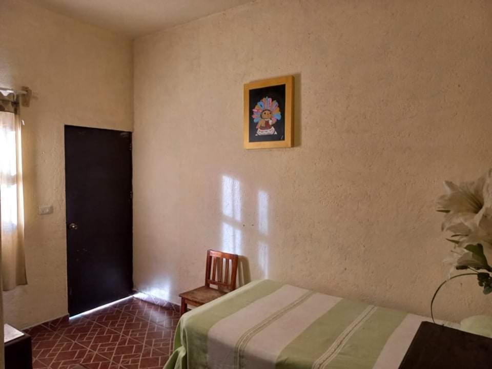 圣米格尔－德阿连德Casa Loteria住宿加早餐旅馆 外观 照片